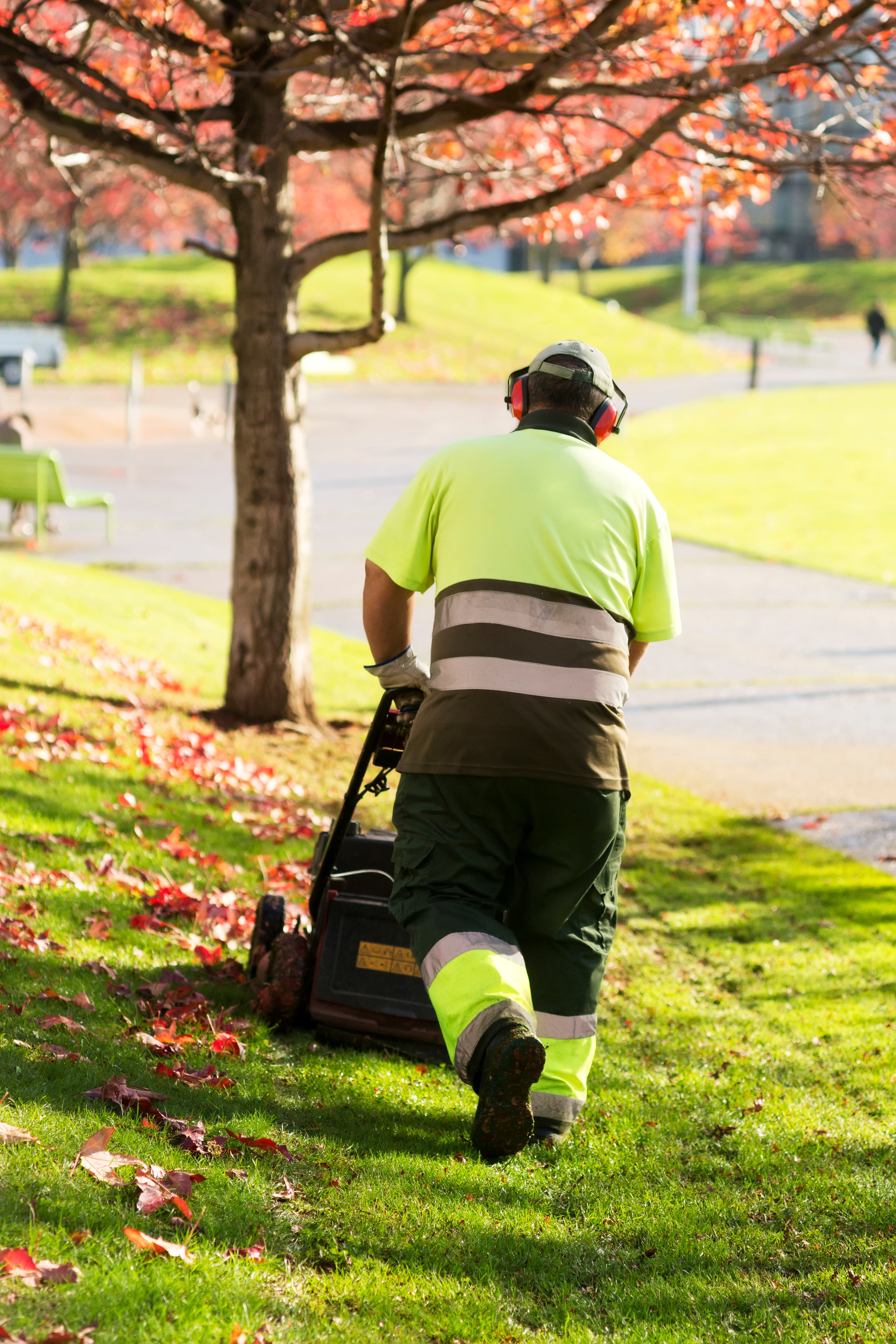 Professional landscaping